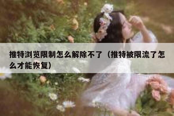 推特浏览限制怎么解除不了（推特被限流了怎么才能恢复） 第1张