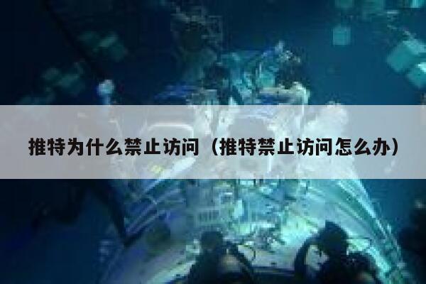 推特为什么禁止访问(推特禁止访问怎么办) 第1张 推特为什么禁止访问(推特禁止访问怎么办) 第1张