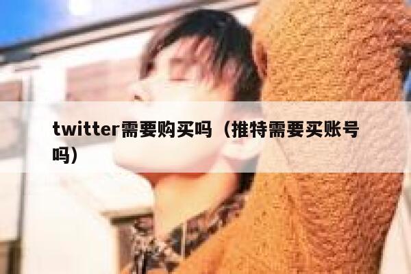 twitter需要购买吗（推特需要买账号吗） 第1张