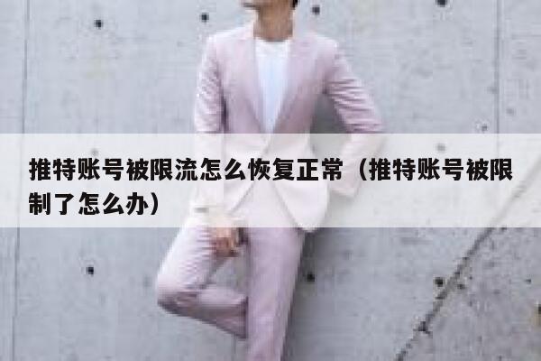 推特账号被限流怎么恢复正常(推特账号被限制了怎么办) 第1张 推特账号被限流怎么恢复正常(推特账号被限制了怎么办) 第1张