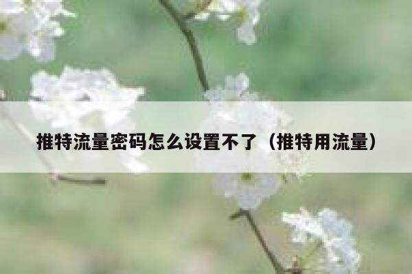 推特流量密码怎么设置不了(推特用流量) 第1张 推特流量密码怎么设置不了(推特用流量) 第1张