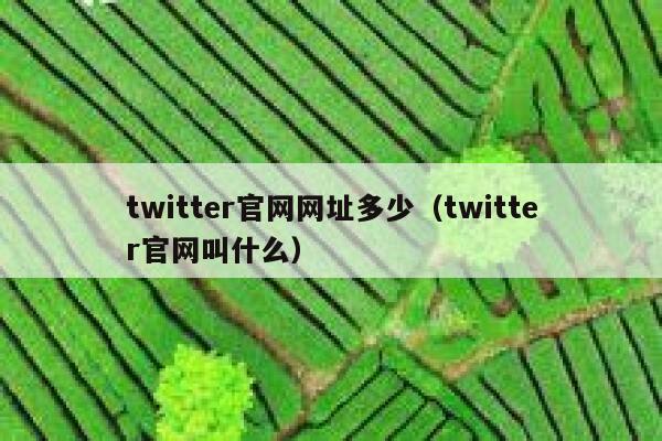 twitter官网网址多少（twitter官网叫什么） 第1张