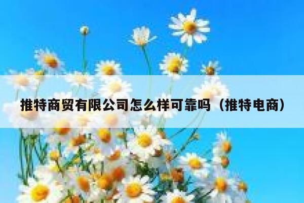 推特商贸有限公司怎么样可靠吗(推特电商) 第1张 推特商贸有限公司怎么样可靠吗(推特电商) 第1张