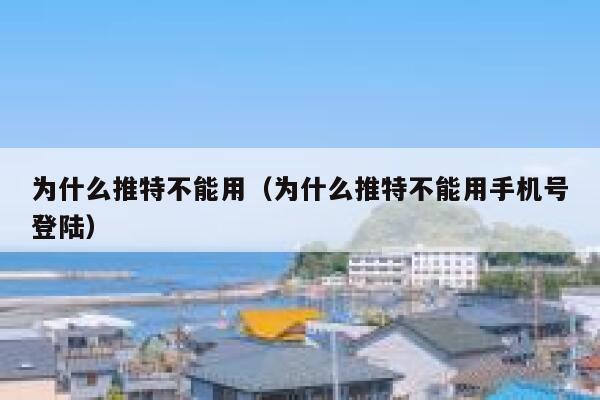 为什么推特不能用（为什么推特不能用手机号登陆） 第1张