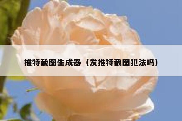 推特截图生成器（发推特截图犯法吗） 第1张