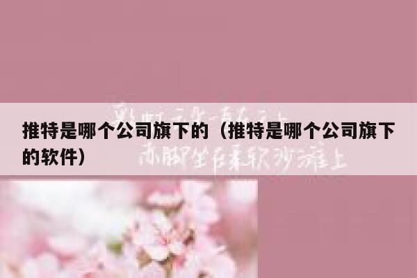 推特是哪个公司旗下的（推特是哪个公司旗下的软件） 第1张