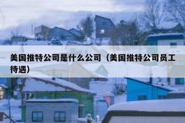 美国推特公司是什么公司（美国推特公司员工待遇） 第1张
