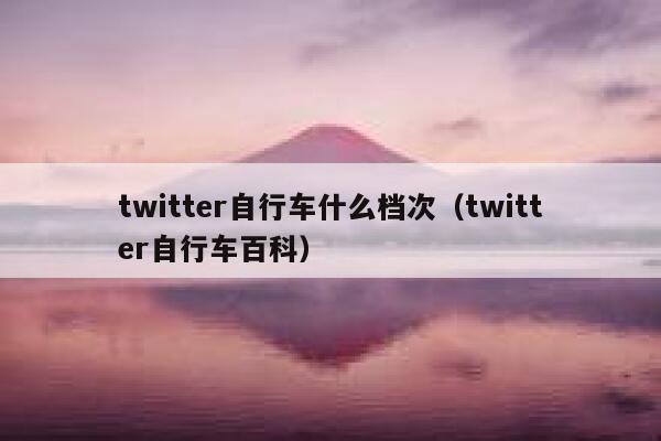 twitter自行车什么档次（twitter自行车百科） 第1张