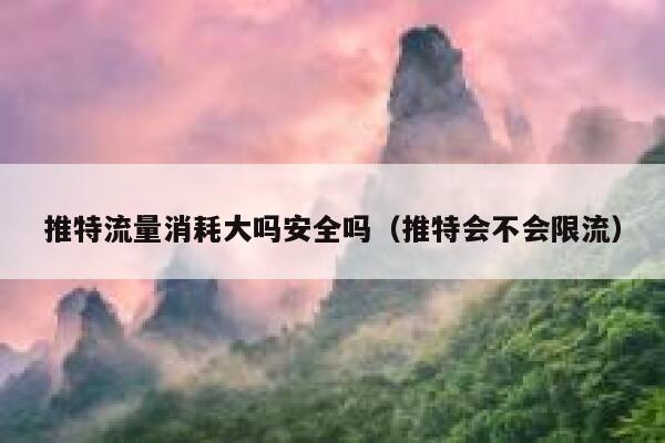 推特流量消耗大吗安全吗（推特会不会限流） 第1张