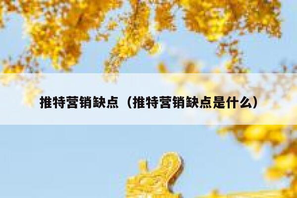 推特营销缺点（推特营销缺点是什么） 第1张