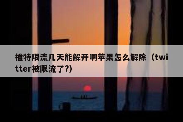 推特限流几天能解开啊苹果怎么解除（twitter被限流了?） 第1张