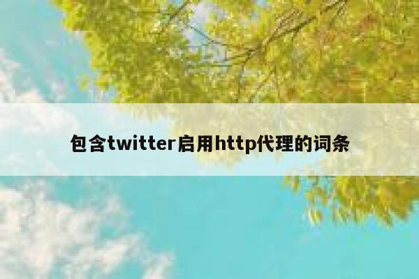 包含twitter启用http代理的词条 第1张