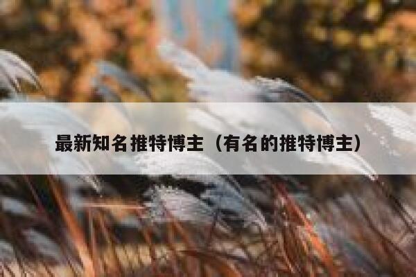 最新知名推特博主（有名的推特博主） 第1张