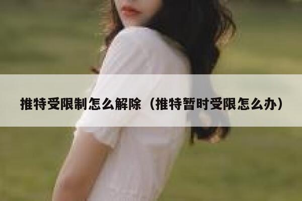 推特受限制怎么解除（推特暂时受限怎么办） 第1张