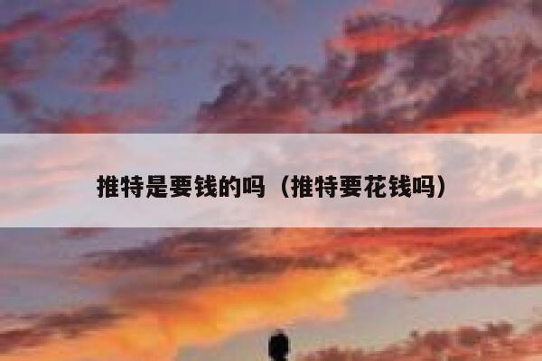 推特是要钱的吗（推特要花钱吗） 第1张