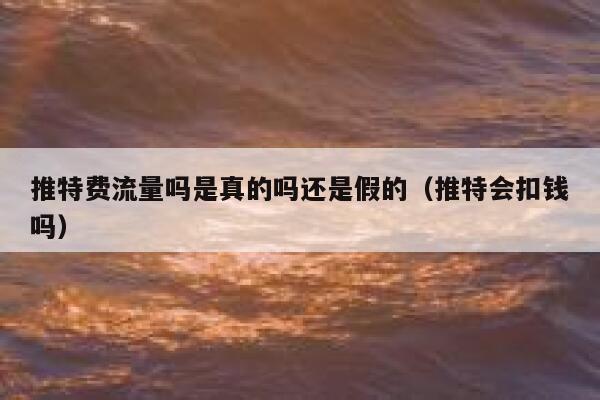 推特费流量吗是真的吗还是假的（推特会扣钱吗） 第1张