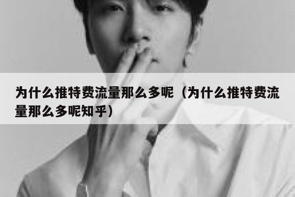 为什么推特费流量那么多呢（为什么推特费流量那么多呢知乎） 第1张