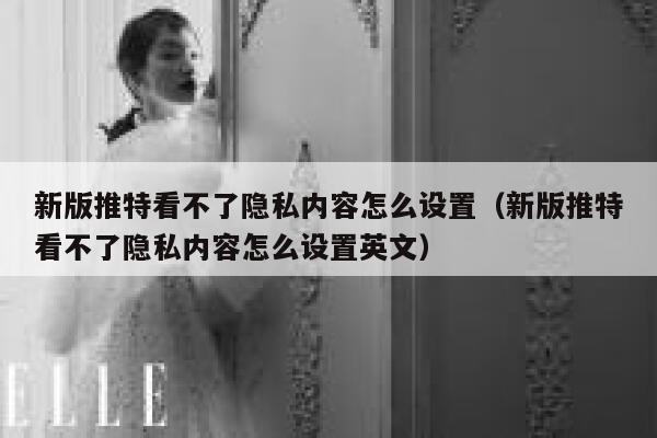 新版推特看不了隐私内容怎么设置（新版推特看不了隐私内容怎么设置英文） 第1张