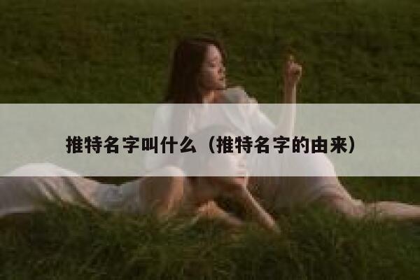 推特名字叫什么（推特名字的由来） 第1张