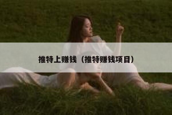 推特上赚钱（推特赚钱项目） 第1张