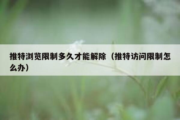 推特浏览限制多久才能解除（推特访问限制怎么办） 第1张