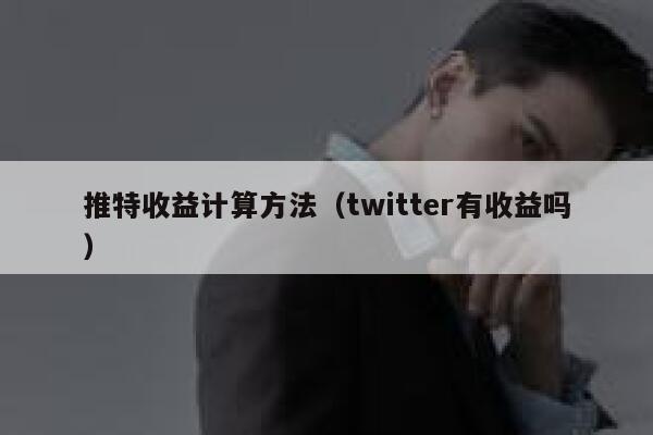推特收益计算方法（twitter有收益吗） 第1张