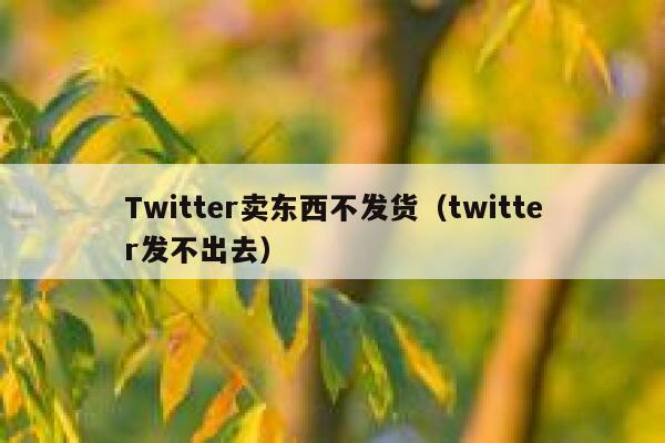 Twitter卖东西不发货（twitter发不出去） 第1张