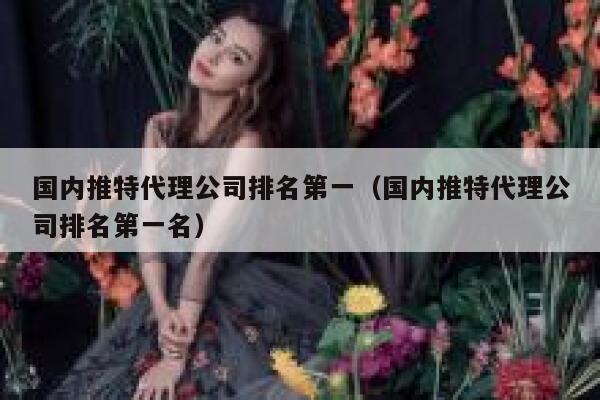 国内推特代理公司排名第一（国内推特代理公司排名第一名） 第1张