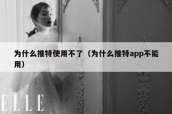 为什么推特使用不了（为什么推特app不能用） 第1张