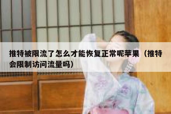 推特被限流了怎么才能恢复正常呢苹果（推特会限制访问流量吗） 第1张