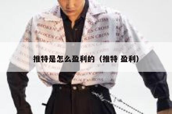 推特是怎么盈利的（推特 盈利） 第1张