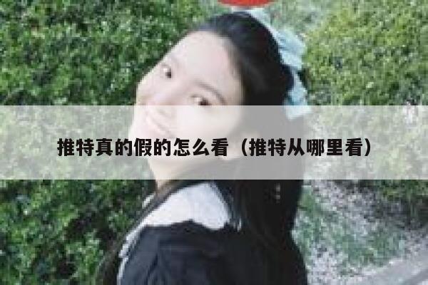 推特真的假的怎么看（推特从哪里看） 第1张
