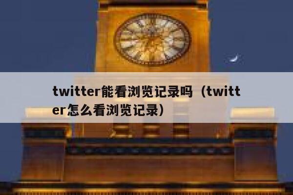 twitter能看浏览记录吗（twitter怎么看浏览记录） 第1张