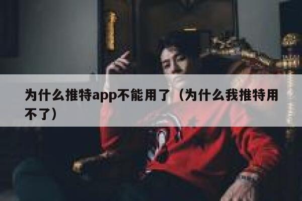 为什么推特app不能用了（为什么我推特用不了） 第1张