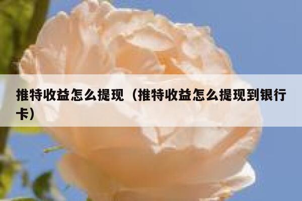 推特收益怎么提现（推特收益怎么提现到银行卡） 第1张