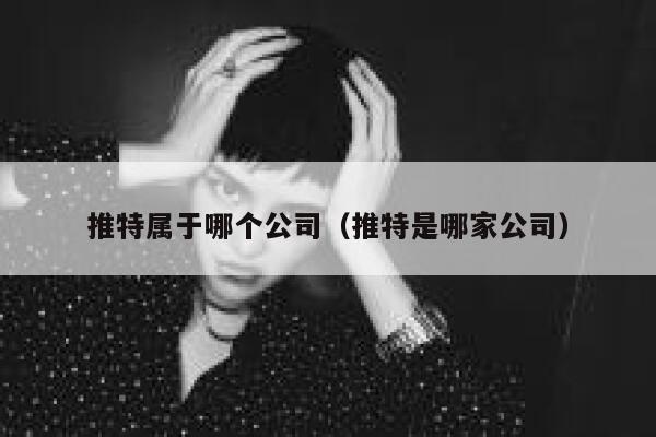 推特属于哪个公司（推特是哪家公司） 第1张