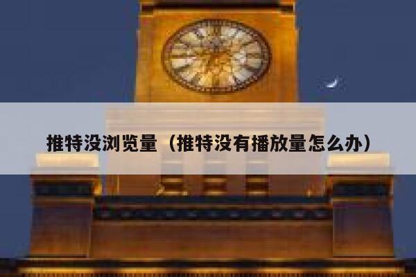 推特没浏览量（推特没有播放量怎么办） 第1张