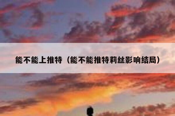 能不能上推特（能不能推特莉丝影响结局） 第1张