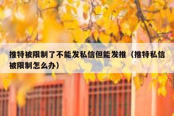 推特被限制了不能发私信但能发推（推特私信被限制怎么办） 第1张
