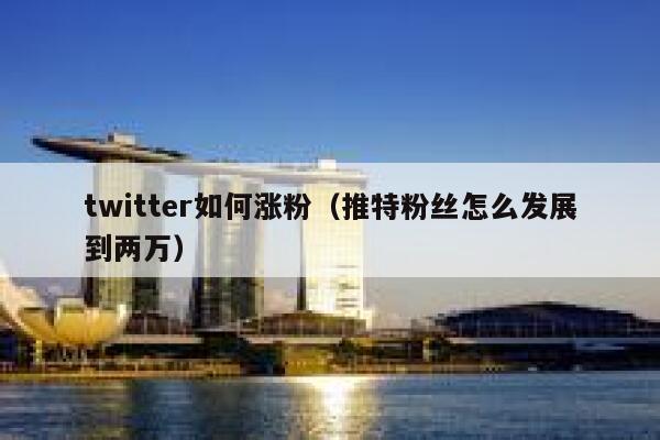 twitter如何涨粉（推特粉丝怎么发展到两万） 第1张