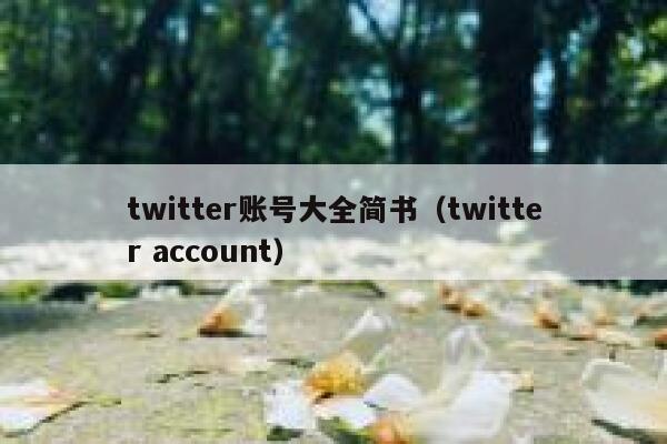 twitter账号大全简书（twitter account） 第1张