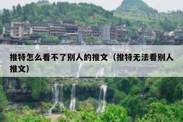 推特怎么看不了别人的推文（推特无法看别人推文） 第1张