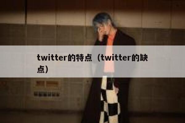 twitter的特点（twitter的缺点） 第1张