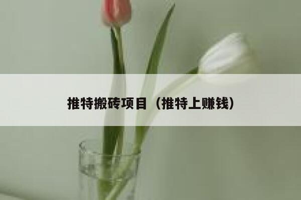 推特搬砖项目（推特上赚钱） 第1张