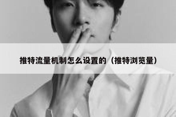 推特流量机制怎么设置的（推特浏览量） 第1张
