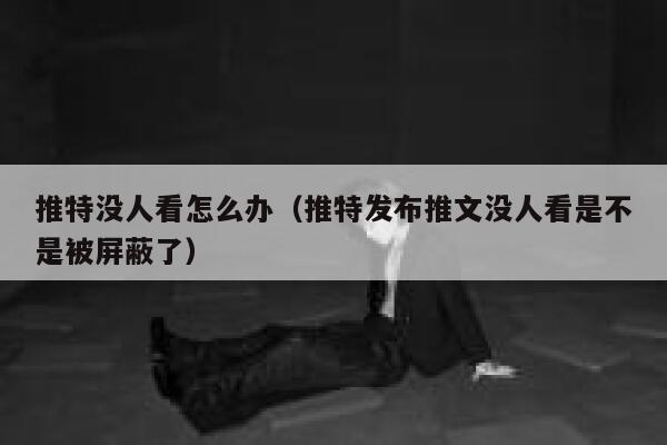 推特没人看怎么办（推特发布推文没人看是不是被屏蔽了） 第1张