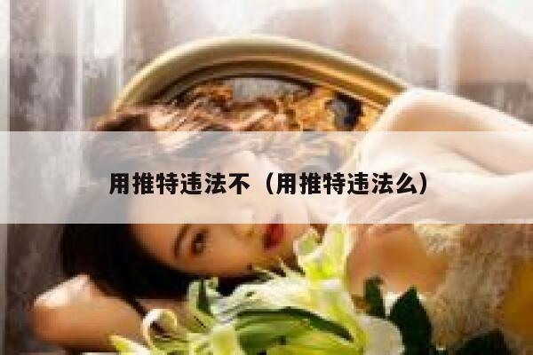 用推特违法不（用推特违法么） 第1张