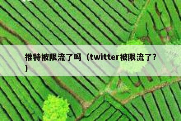 推特被限流了吗（twitter被限流了?） 第1张