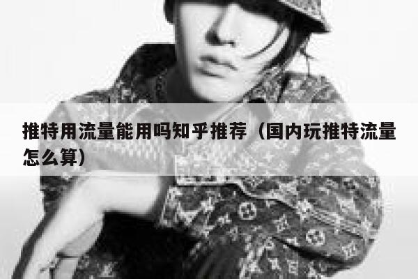 推特用流量能用吗知乎推荐（国内玩推特流量怎么算） 第1张