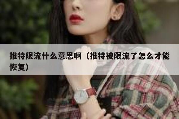 推特限流什么意思啊（推特被限流了怎么才能恢复） 第1张